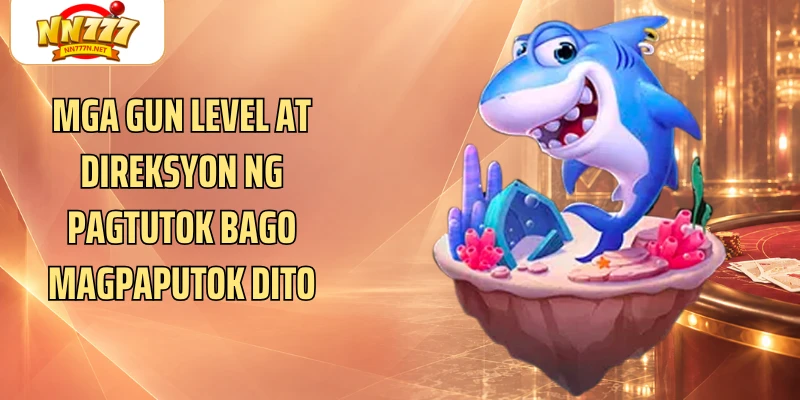 Mga gun level at direksyon ng pagtutok bago magpaputok dito