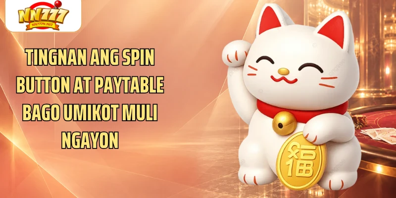 Tingnan ang Spin button at paytable bago umikot muli ngayon